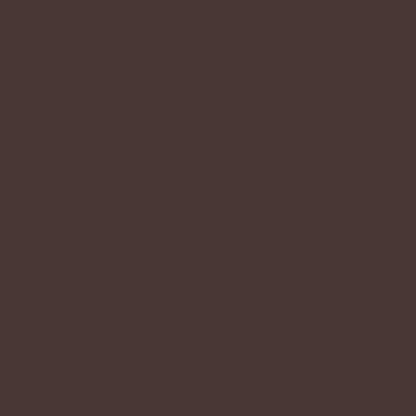 ALADDIN CIRCUS SHOW 
